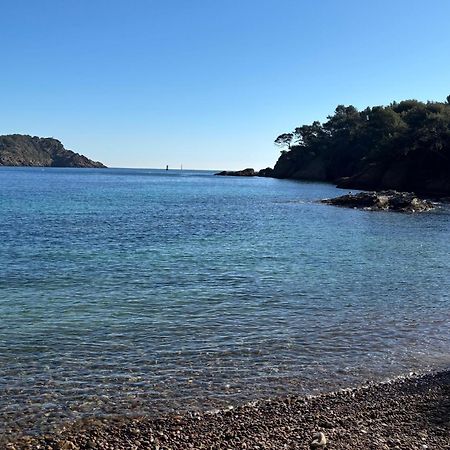 Lavande Centre Ancien Port Plages By Laconciergerie13 La Ciotat Ngoại thất bức ảnh